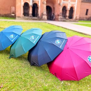 𝗣𝗿𝗲𝗺𝗶𝘂𝗺 𝗤𝘂𝗮𝗹𝗶𝘁𝘆 𝗕𝗠𝗪 𝟭𝟮-𝗥𝗶𝗯 𝗔𝘂𝘁𝗼-𝗦𝘄𝗶𝘁𝗰𝗵 𝗨𝗺𝗯𝗿𝗲𝗹𝗹𝗮